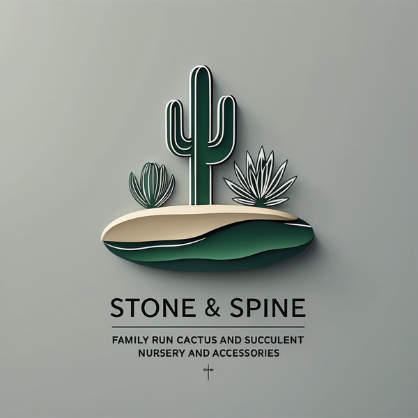 Stone&Spine